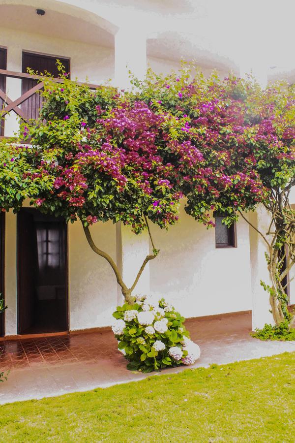 Hotel Del Diablo Punta Del Diablo Luaran gambar
